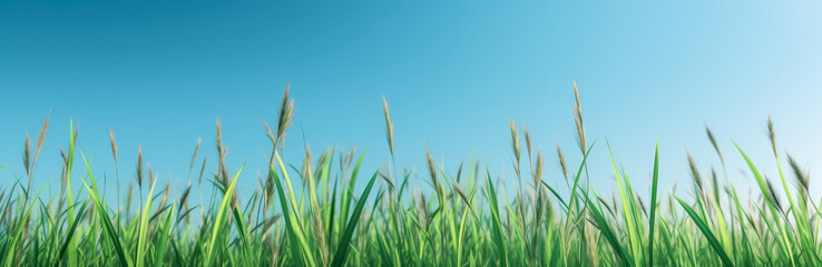 Obraz premium a green grassy background with clear blue skies. Generative Ai. 