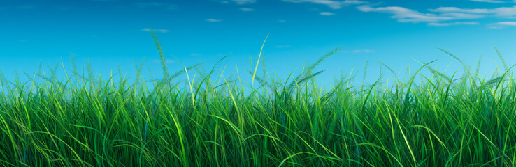 Obraz premium a green grassy background with clear blue skies. Generative Ai. 