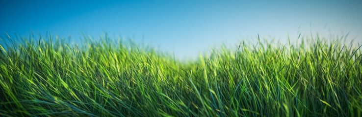 Fototapeta premium a green grassy background with clear blue skies. Generative Ai. 
