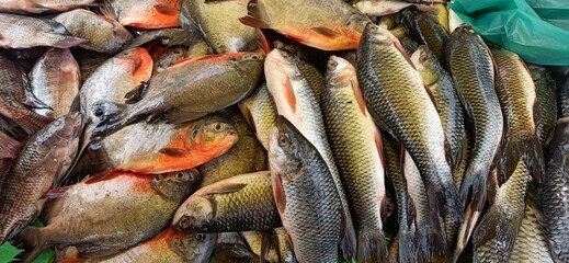 fish market koduva bass parai