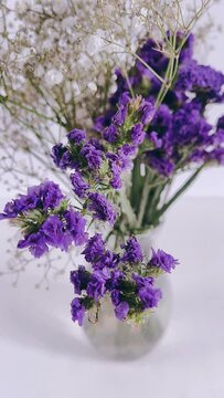 bunch of lavender, flower, purple, lilac, plant, flowers, isolated, bouquet, nature, blossom, spring, lavender, white, pink, bunch, bloom, vase, blue, floral, beauty, pot, blooming, color, leaf, flora