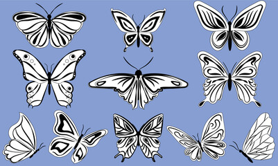 A set of beautiful black and white butterflies for design