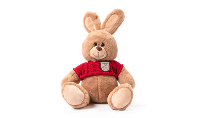 Stuffed rabbit toy isolated on white background