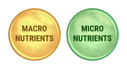 Vector set of icons or symbols of micro nutrients or micronutrients and macro nutrients or macronutrients isolated on white background. Vitamins and minerals, carbs, carbohydrates, proteins, and fats.