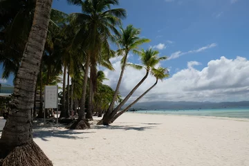 Fotobehang Boracay Wit Strand palm trees on the white beach, Boracay island