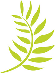 tropical leaf illustration