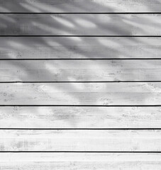 White wood texture background with tropical leaves shadow, Washed old wooden striped surface, Vintage fence wall with sunbeam,Background plank for table, floor