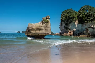 Papier Peint photo Lavable Cathedral Cove Cathedral Cove Marine Reserve, Mercury Bay on the Coromandel Peninsula, North Island, New Zealand