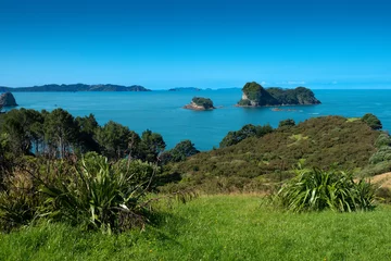 Rolgordijnen Cathedral Cove Marine Reserve, Mercury Bay on the Coromandel Peninsula, North Island, New Zealand © Luis