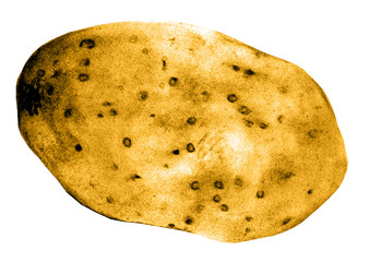 Potato Isolated on White Background