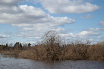 Spring landscape on the lake with blue sky and clouds.