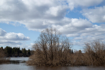 Naklejka na ściany i meble Spring landscape on the lake with blue sky and clouds.