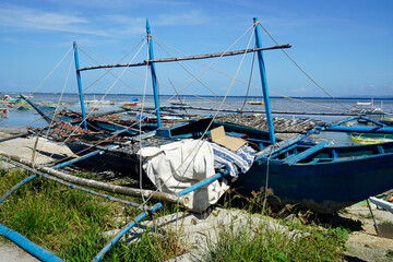 fresh fish from fisherman village on cebu island