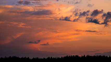 Fototapeta premium Natural sunrise over forest. Bright red sky. Countryside landscape. Under scenic colorful sky at sunrise.