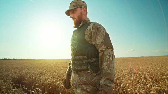 Ukrainian soldier turning standing in a wheat field, dressed in camouflage. War. Military concept. Sunlight on blue sky