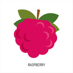 Juicy raspberry isolated on a white background. Vector illustration of berries for design