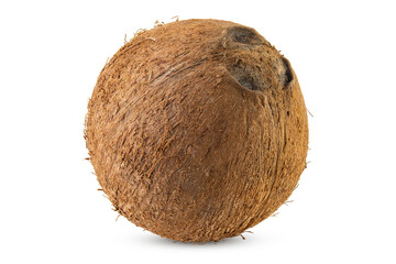 Coconut. Fresh not cracked whole coconut. Nut good for shredded coconut. Palm trees oil for cooking. Do a coconut milk for drinking. Food photography. White isolated background. High resolution photo