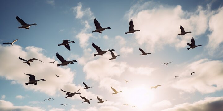 A flock of geese flying in formation through the sky, concept of Migratory birds behavior, created with Generative AI technology