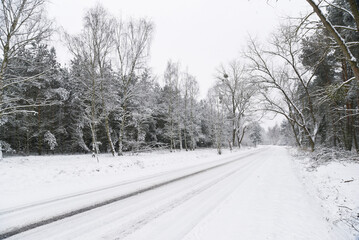 Fototapeta premium Winter landscape. Snowy road.
