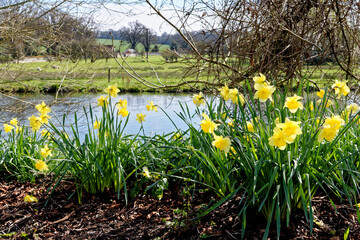 River Avon at Upper Woodford - Wiltshire, United Kingdom