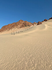 Fototapeta na wymiar Sand dunes where tourists riding on the sandboards. Nabq protected area, Sinai peninsula, Egypt