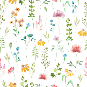 Watercolor floral seamless pattern with wildflowers. Hand drawn illustration isolated on white background. Vector EPS.
