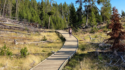 Obraz premium woman walking the path in the Mud Volcano Area in Yellowstone
