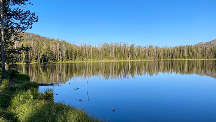 Fototapeta na wymiar Sylvan Lake morning time in Yellowstone National Park