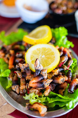 Portugal seafood Percebes