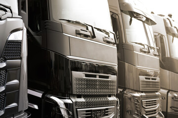 Heavy transport industry - unbranded modern trucks lined up in a row.