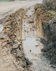 a track from a truck that drove through the swamp