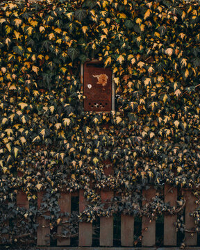 an old mailbox hangs on the fence