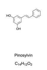 Pinosylvin, chemical formula and structure. An organic compound, essential oil and fungitoxin, with distinctive smell, produced in pine trees, protecting the wood from fungal infection and insects.