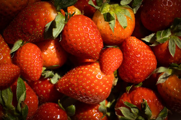 Fresh strawberries close up background