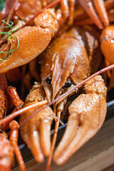 Boiled crayfish with lemon, dill and herbs on a wooden cutting board on blue wooden background. Crayfish dish
