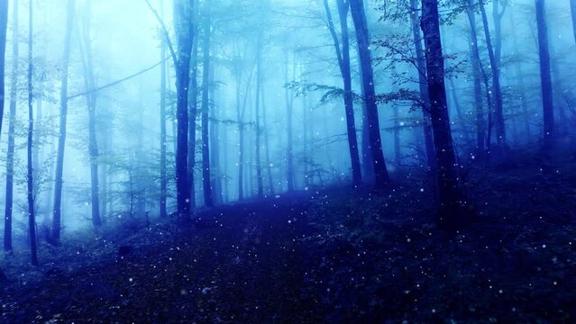 Mystical dark blue foggy forest with firefly.