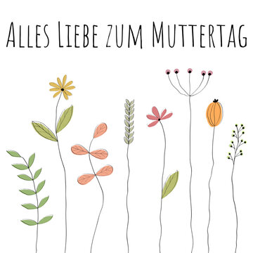 Alles Liebe zum Muttertag - Schriftzug in deutscher Sprache. Grußkarte mit gezeichneten Gräsern und Blumen.
