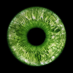 Green eye iris - human eye - 596444090
