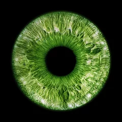 Foto op Canvas Green eye iris - human eye © Aylin Art Studio
