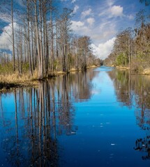 Cypress trees with Spanish moss reflected in the waters of Okepenokee Swamp National Wildlife Area.