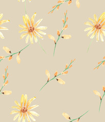 Watercolor field flowers pattern . Seamless pattern. Wildflowers. Gentle illustration. Floral design. Meadow plants. Idea for greeting, packing, wrapping paper, package, backgrounds, cards, decor.
