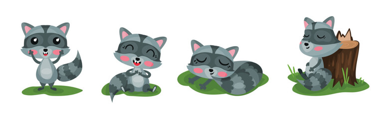 Cute Raccoon with Striped Tail Engaged in Different Activity Vector Set