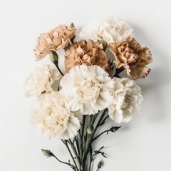 A vintage bouquet of white, pink and orange carnations, white background, bright light