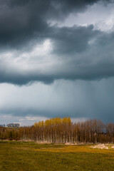 Heavy rainy clouds over birch trees and meadow - field in Czech Republic