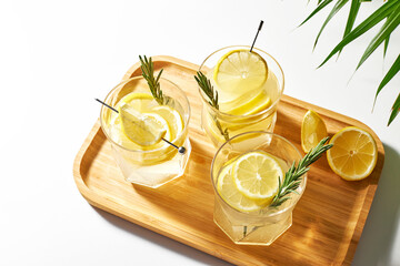 Summer refreshing drinks with fresh lemon slices and rosemary sprigs. Alcoholic cocktails with citrus fruits. cold lemon water