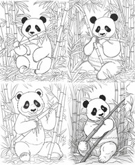 panda