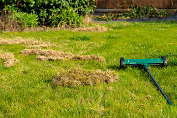 Removing dead grass after winter, spring care of grass, rural garden concept, Debris Left Over by an mechanical Lawn dethatcher, dry grass maintenance. Nature background, climate change