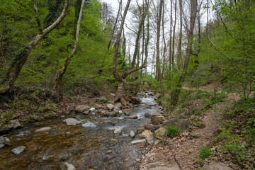 Spring view of Belasitsa Mountain, Bulgaria
