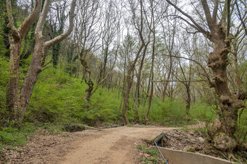 Spring view of Belasitsa Mountain, Bulgaria