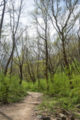 Spring view of Belasitsa Mountain, Bulgaria